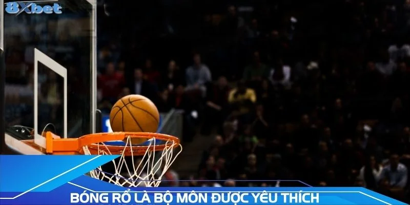 bong-ro-la-bo-mon-duoc-yeu-thich