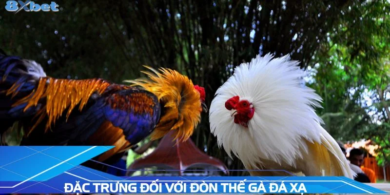 dac-trung-doi-voi-don-the-ga-da-xa
