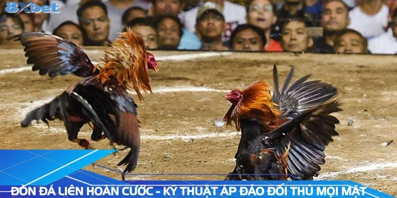 don-da-ga-lien-hoan-cuoc-ky-thuat-ap-dao-doi-thu-moi-mat