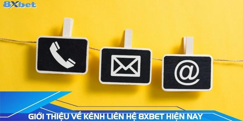 gioi-thieu-ve-kenh-lien-he-8xbet-hien-nay