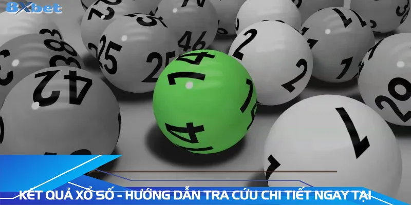 ket-qua-xo-so-huong-dan-tra-cuu-chi-tiet-ngay-tai-8xbet