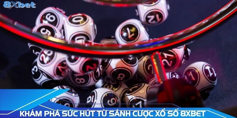 kham-pha-suc-hut-tu-sanh-cuoc-xo-so-8xbet