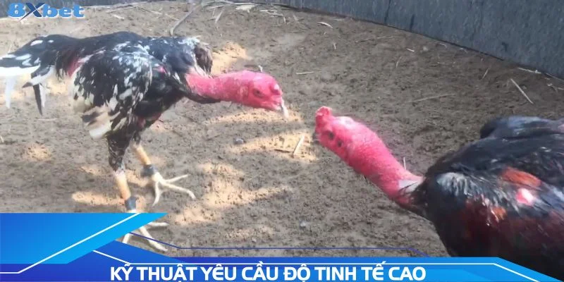 ky-thuat-yeu-cau-do-tinh-te-cao